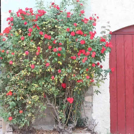 Du Chateau Des Moriers * فْلوري