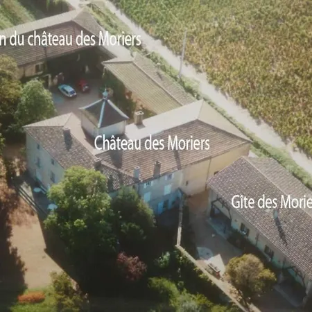 Grande Gte Du Chteau Des Moriers * Fleurie