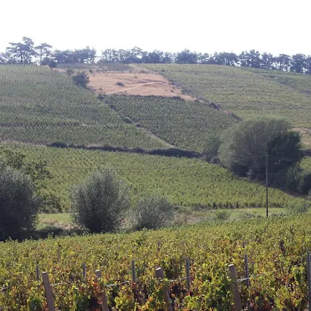 Du Chateau Des Moriers